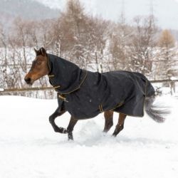 Couverture de pré cheval Irish Turnout Light Bucas 50g avec couvre-cou - Le Paturon