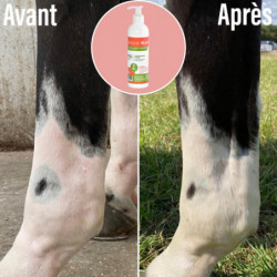 Gel chauffant Natural'Warm Natural'Innov articulations et tendons cheval - Le Paturon