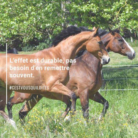 Natural'Fly Natural'Innov spray anti-insecte cheval - Le Paturon