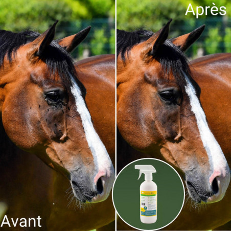 Natural'Fly Natural'Innov spray anti-insecte cheval - Le Paturon