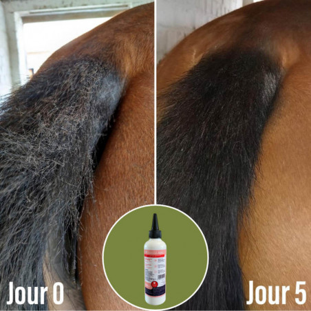 Natural'Itch Natural'Innov démangeaisons dermite cheval - Le Paturon