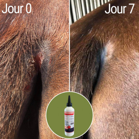 Natural'Itch Natural'Innov démangeaisons dermite cheval - Le Paturon