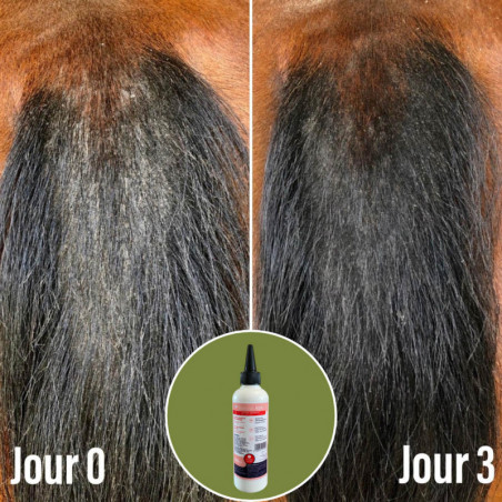Natural'Itch Natural'Innov démangeaisons dermite cheval - Le Paturon