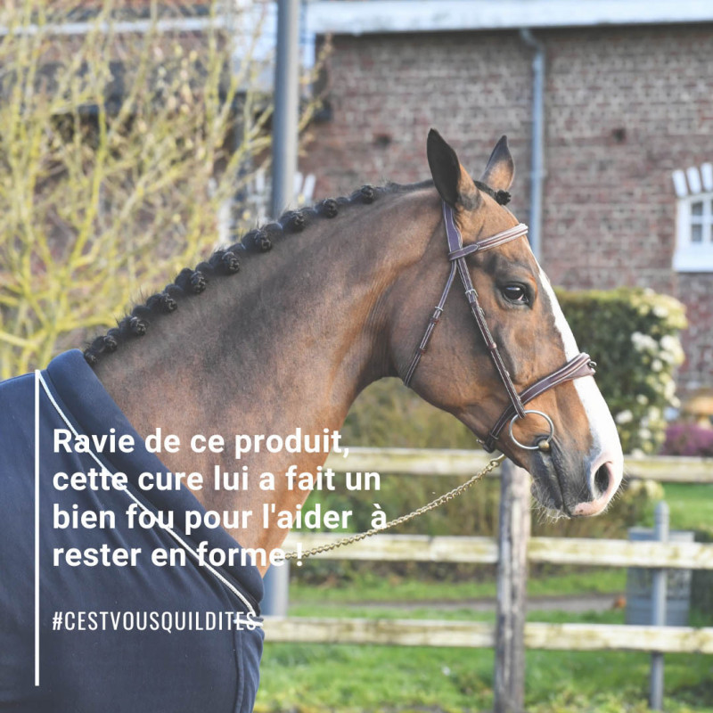 Natural'Top Natural'Innov vitamines cheval - Le Paturon