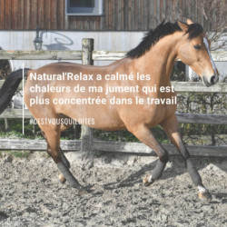 Natural'Relax Natural'Innov stress cheval - Le Paturon
