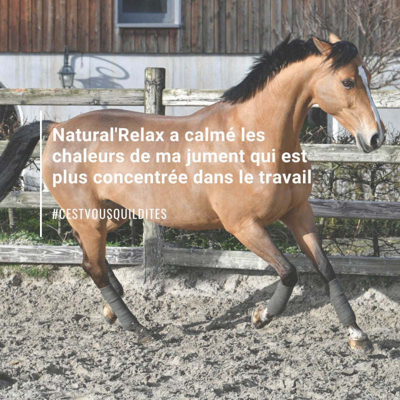 Natural'Relax Natural'Innov stress cheval - Le Paturon