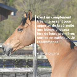 Natural'Relax Natural'Innov stress cheval - Le Paturon