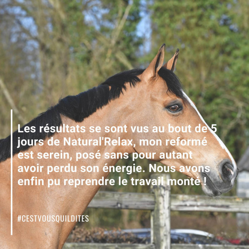 Natural'Relax Natural'Innov stress cheval - Le Paturon