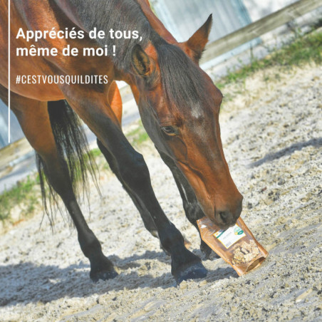 Natural'Crackers Top Natural'Innov friandises cheval forme et immunité - Le Paturon