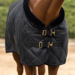 Couverture Waldhausen Exclusive 50g transport et show cheval noir - Le Paturon