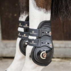Protège-boulets cheval Kentucky Horsewear Elastic Moonboots Max 2 crochets noir - Le Paturon