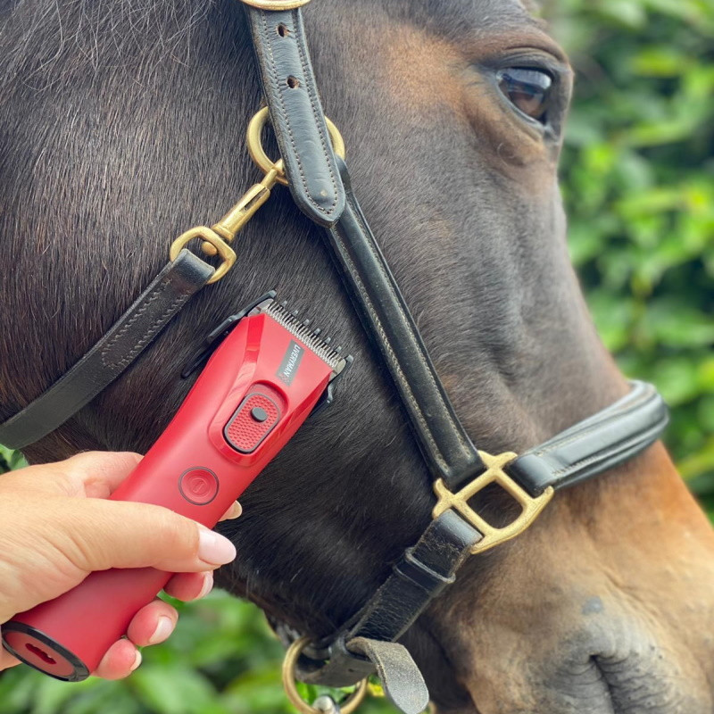 Tondeuse de finition cheval Liveryman Nova Trimmer sur batterie - Le Paturon