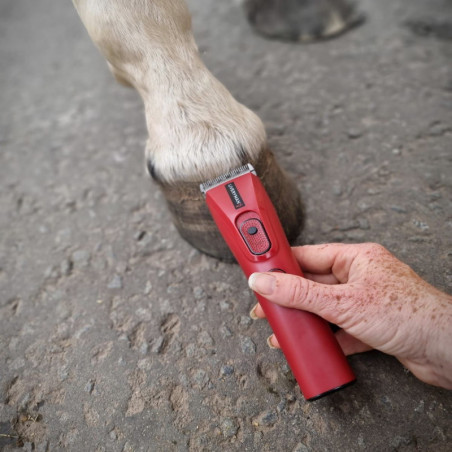 Tondeuse de finition cheval Liveryman Nova Trimmer sur batterie - Le Paturon