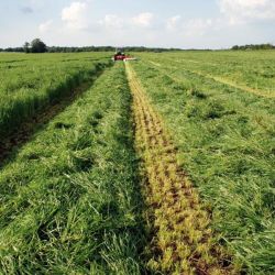 Equifourrage aliment cheval La Gée foin de prairie enrubanné - Le Paturon