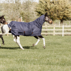 Couverture cheval All Weather Quick Dry Fleece 150g Kentucky Horsewear - Le Paturon