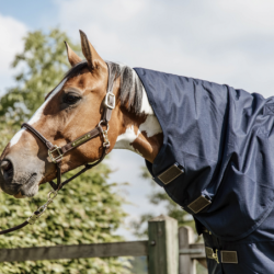 Couverture cheval All Weather Quick Dry Fleece 150g Kentucky Horsewear - Le Paturon