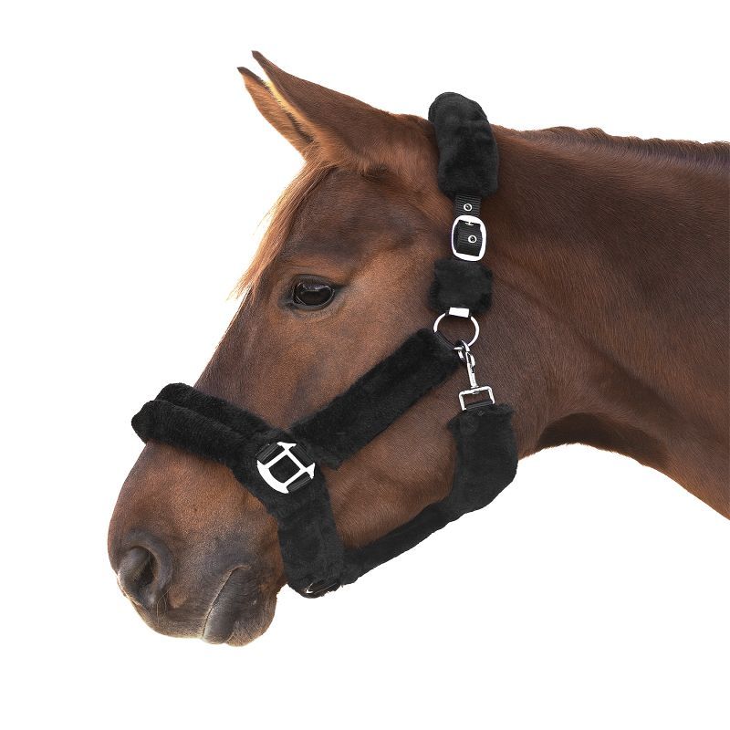 Licol cheval Cozy Waldhausen mouton noir - Le Paturon