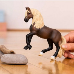 Figurine Schleich Etalon Paso Péruvien - Le Paturon