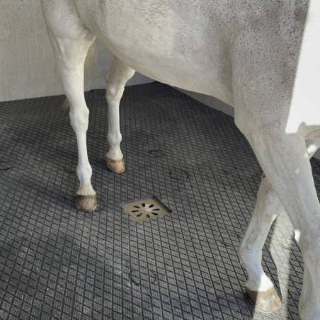 Dalle Clip Super en caouthouc pour douche écurie cheval IDS - Le Paturon