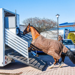 Revêtement Ramp caoutchouc avec tasseau pour pont de van ou camion cheval IDS - Le Paturon