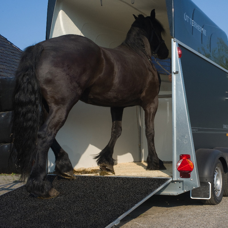 Revêtement MAT6 caoutchouc pont camion ou van cheval IDS - Le Paturon