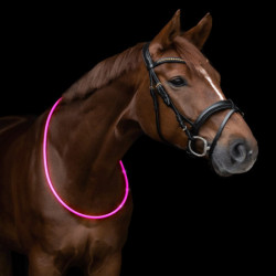 Collier d'encolure Led cheval Waldhausen rose - Le Paturon