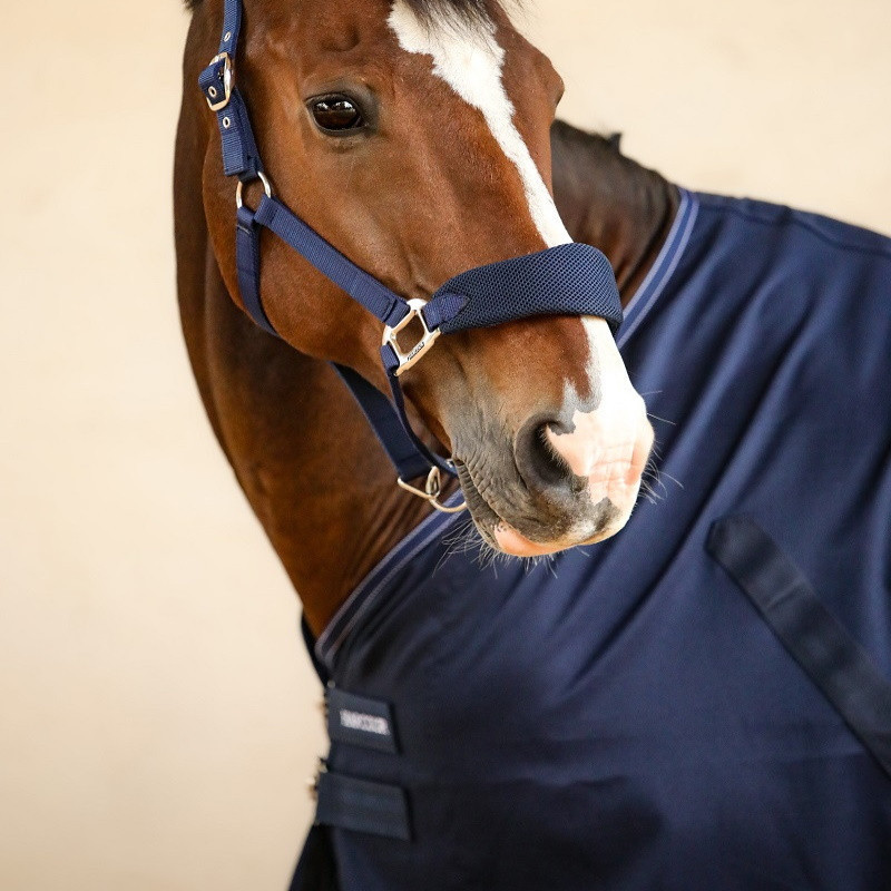 Chemise box cheval Harcour Rafale Rider 0g marine - Le Paturon