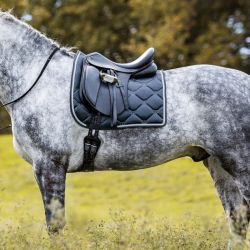Tapis Waldhausen Valencia dressage cheval bleu nuit - Le Paturon