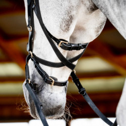 Bridon cheval Micklem 2 multi-bride cuir Horseware noir - Le Paturon