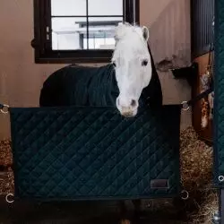 Porte de box amovible Kentucky Horsewear vert foncé - Le Paturon