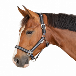 Licol nylon cheval Athletic Waldhausen gris asphalte - Le Paturon