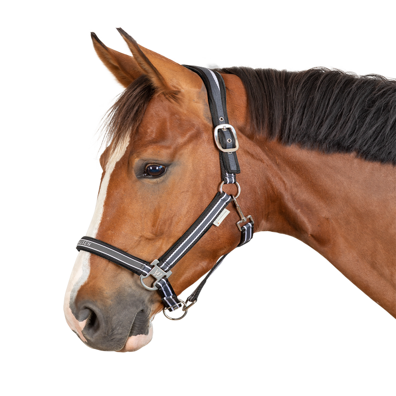 Licol nylon cheval Athletic Waldhausen gris asphalte - Le Paturon
