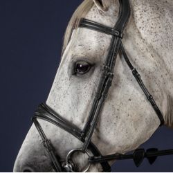 Montants de mors bridon cheval Dy'on New English Collection noir - Le Paturon