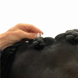 Accessoires de tressage pions cheval Quick Knot Deluxe Waldhausen blanc - Le Paturon