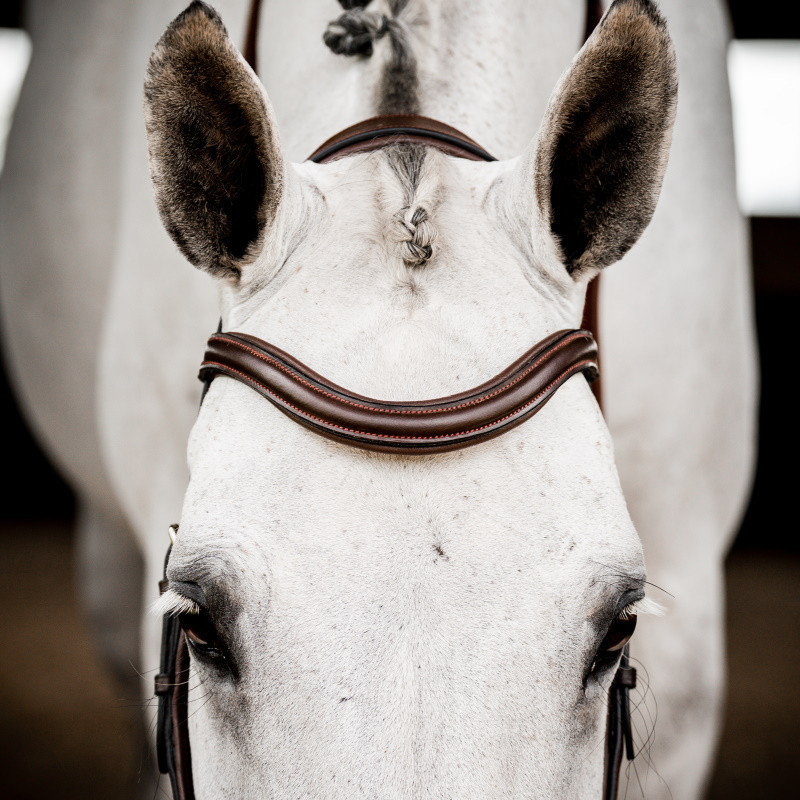 Bridon cheval cuir anatomique Micklem Rambo Deluxe Competition Horseware marron foncé - Le Paturon