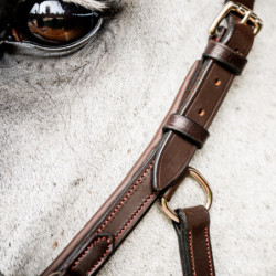 Bridon cheval cuir anatomique Micklem Rambo Deluxe Competition Horseware marron foncé - Le Paturon
