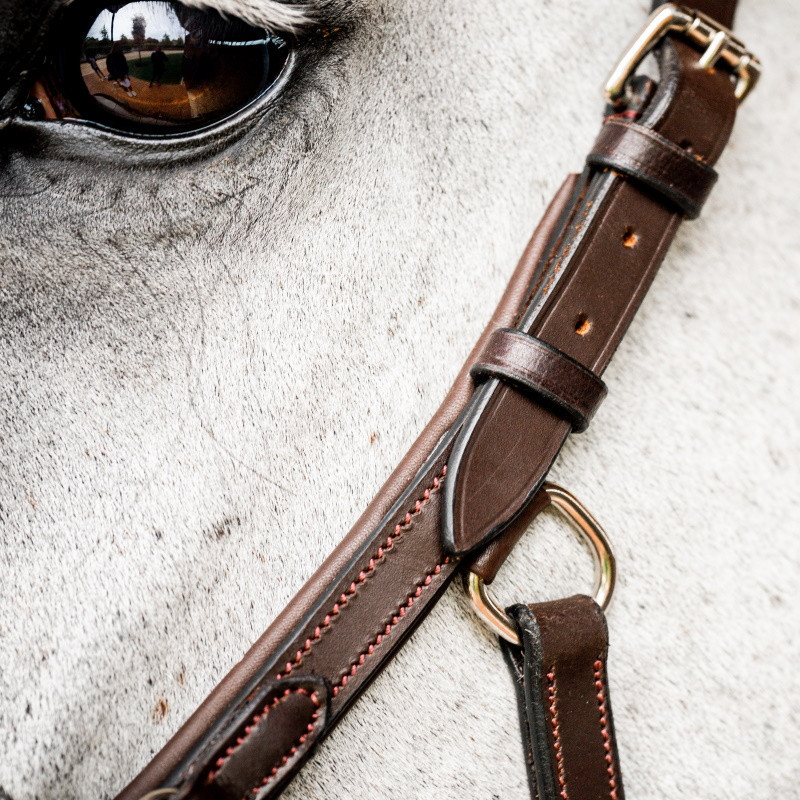 Bridon cheval cuir anatomique Micklem Rambo Deluxe Competition Horseware marron foncé - Le Paturon