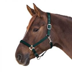 Licol cheval Satin Waldhausen nylon doublé vert sapin - Le Paturon
