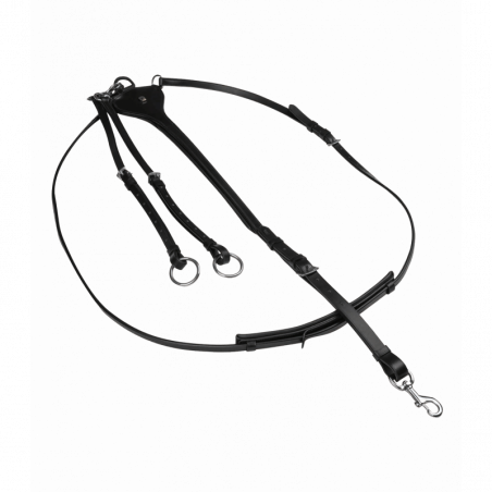 Martingale cheval X-Line Professional Waldhausen noir - Le Paturon