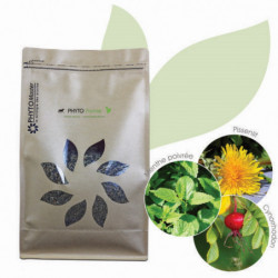 Phyto Forme vitamines cheval 1kg Phyto Master - Le Paturon