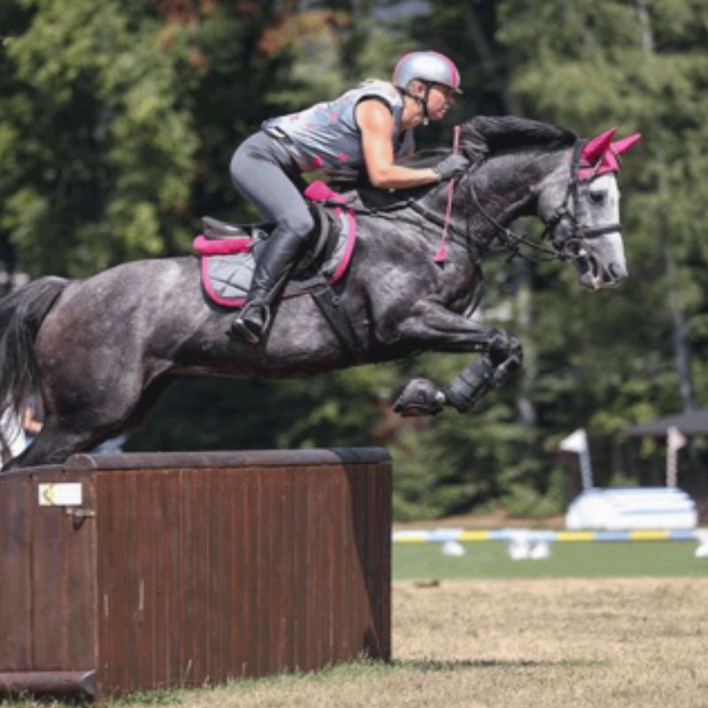Hipposandales cheval Active Equine Fusion - Le Paturon