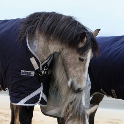 Couverture cheval Rambo Horseware Original Leg Arches 200g marine argent - Le Paturon