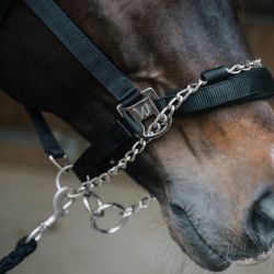 Licol cheval Pro Safety Waldhausen noir - Le Paturon