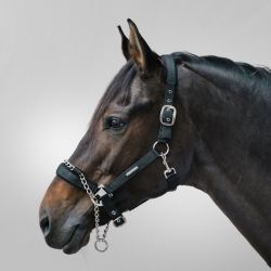 Licol cheval Pro Safety Waldhausen noir - Le Paturon