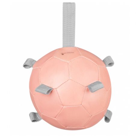 Balle à carottes jeu cheval Waldhausen rose - Le Paturon