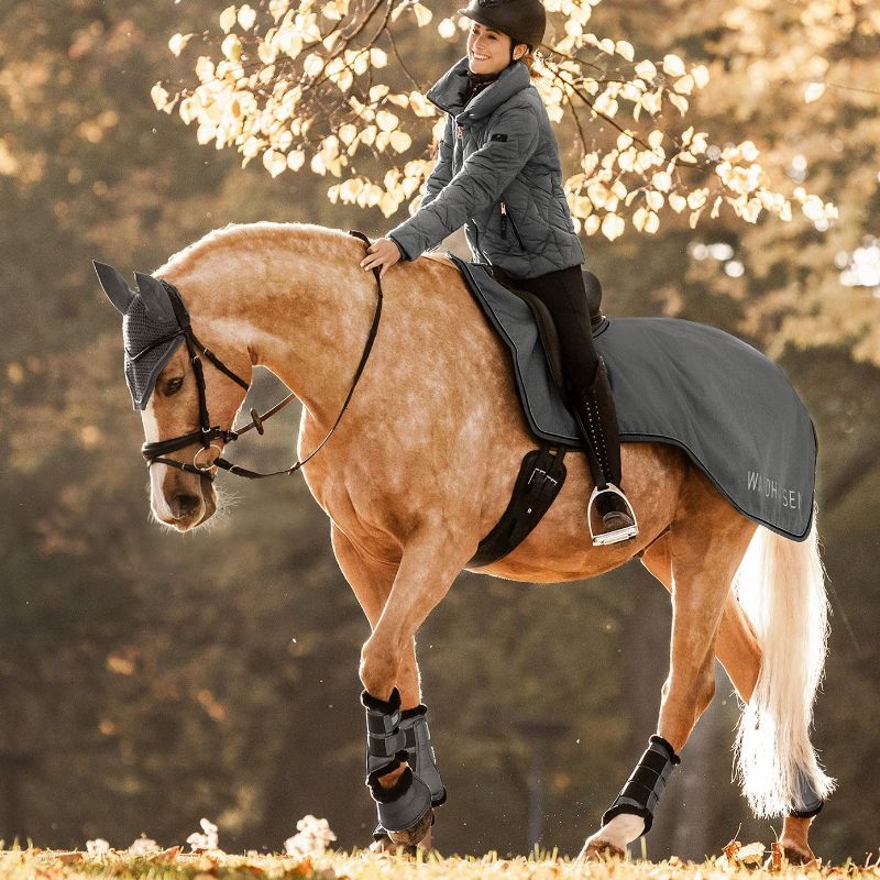 Cloches cheval Comfort Waldhausen doublées mouton étain - Le Paturon