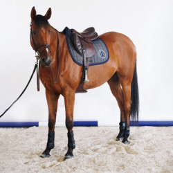 Tapis cheval Safine Harcour gris chiné - Le Paturon