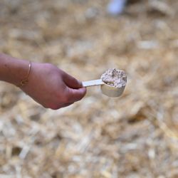 Natural'Absorb Natural'Innov litière cheval - Le Paturon