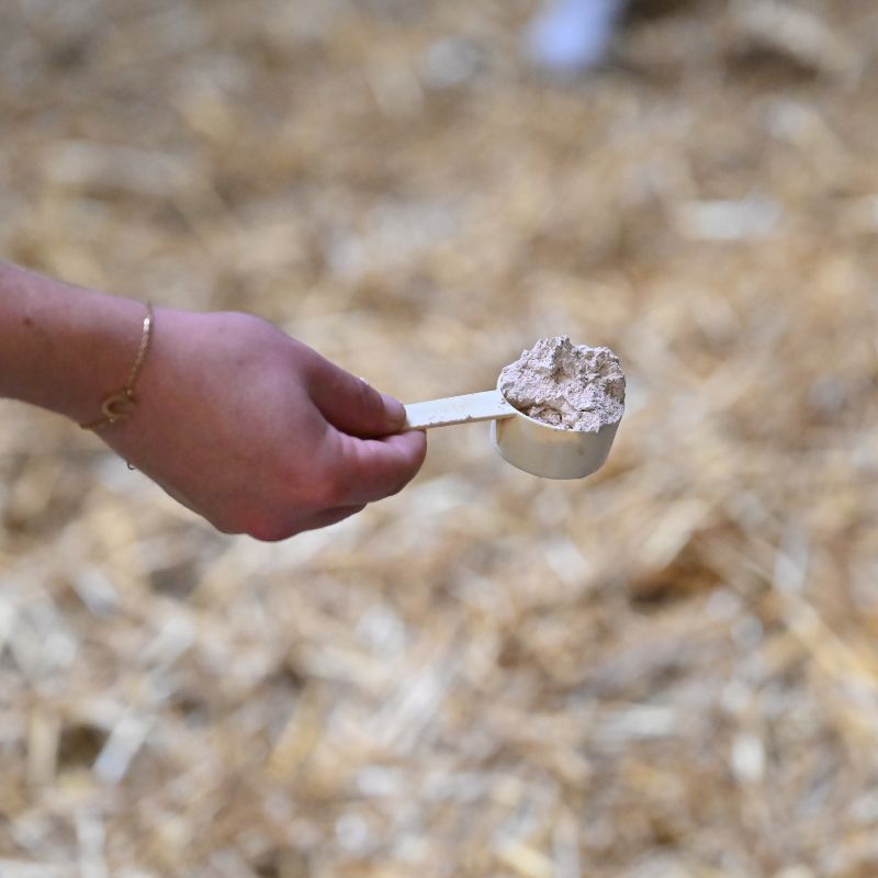 Natural'Absorb Natural'Innov litière cheval - Le Paturon