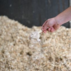 Natural'Absorb Natural'Innov litière cheval - Le Paturon
